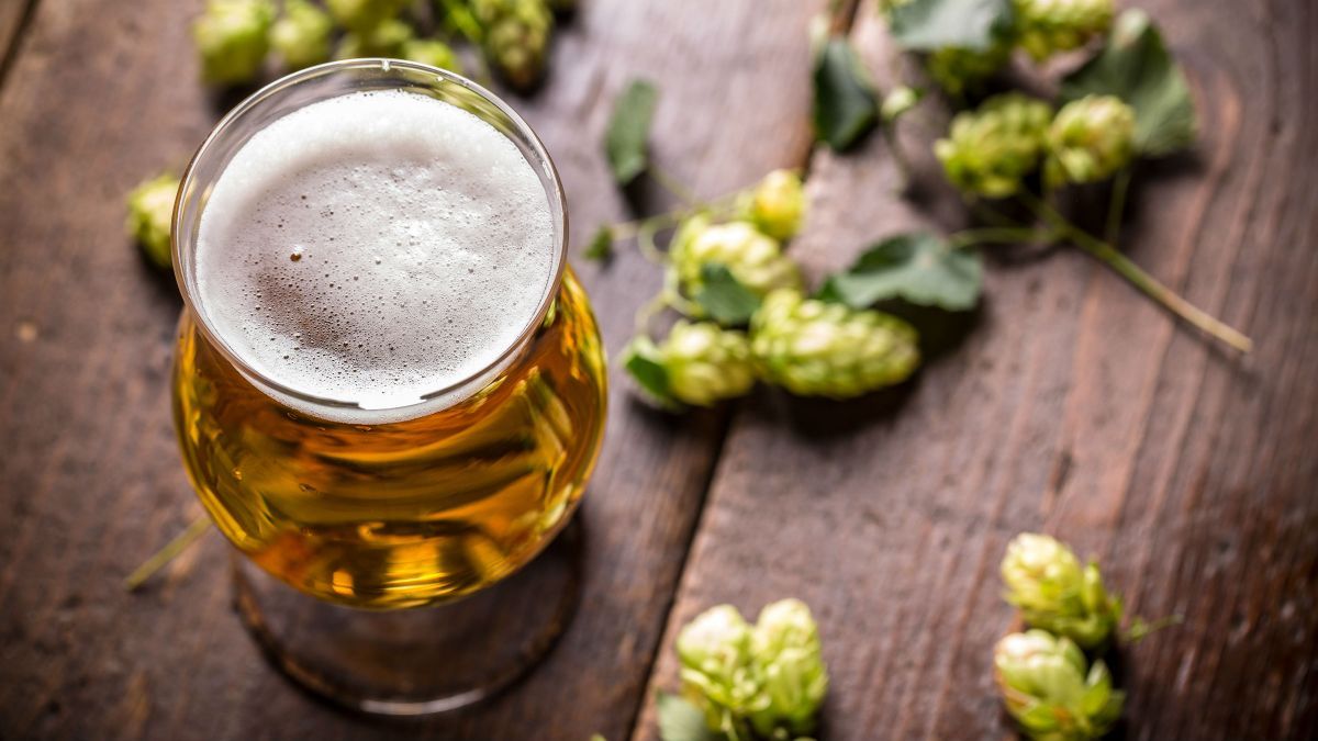 ¿Qué es el IPA DAY y por qué se celebra? ANR :: Agencia de Noticias