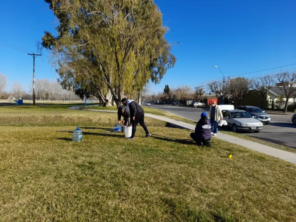 Realizaron trabajos para el mantenimiento de espacios verdes en Roca 