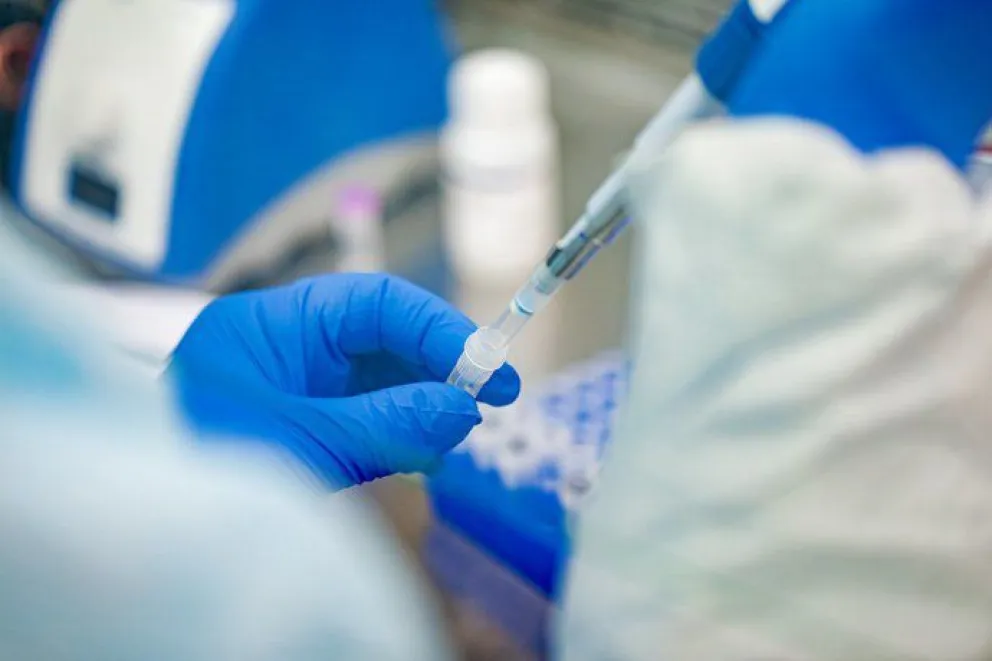 Coronavirus: Roca llegó a los 81 casos activos 