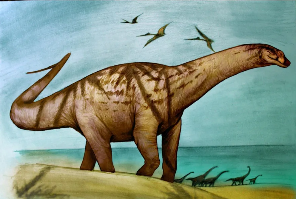 Descubren restos de un titanosaurio de más de 70 millones de años, a pocos kilómetros de Roca
