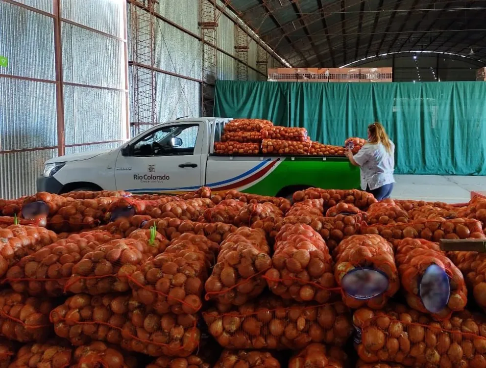 Senasa donó alrededor de 7.000 kg de cebolla fresca a comedores barriales