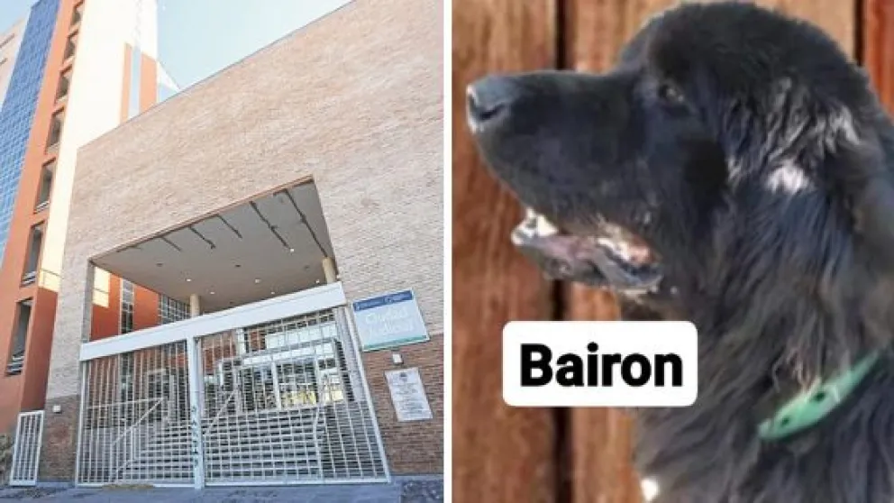Mató al perro Byron de una patada y le dieron 4 meses de prisión condicional