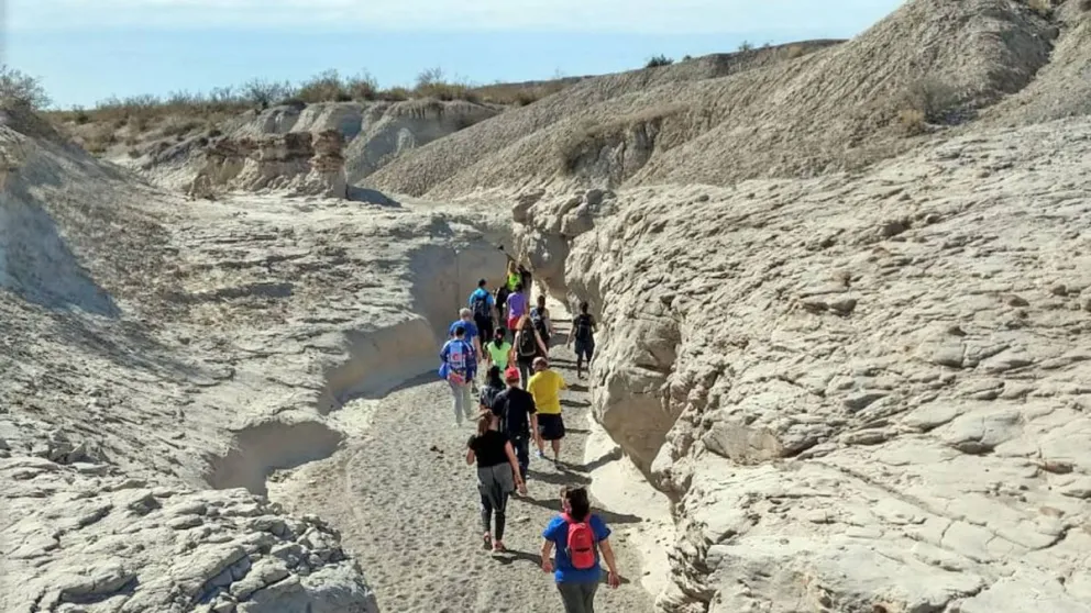 Geología y Paleontología de las bardas de General Roca para estudiantes del secundario