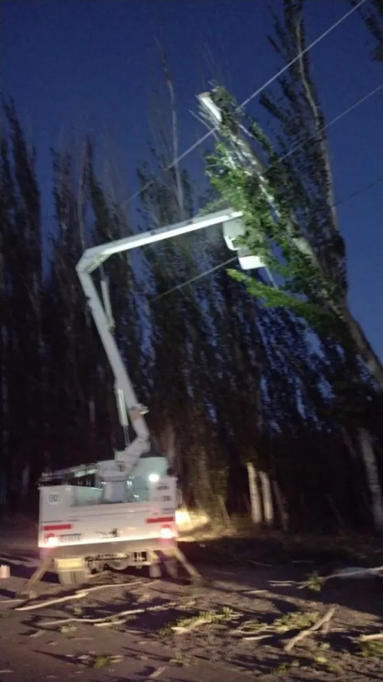 Los fuertes vientos tiraron un árbol y dejaron a varios vecinos sin luz 