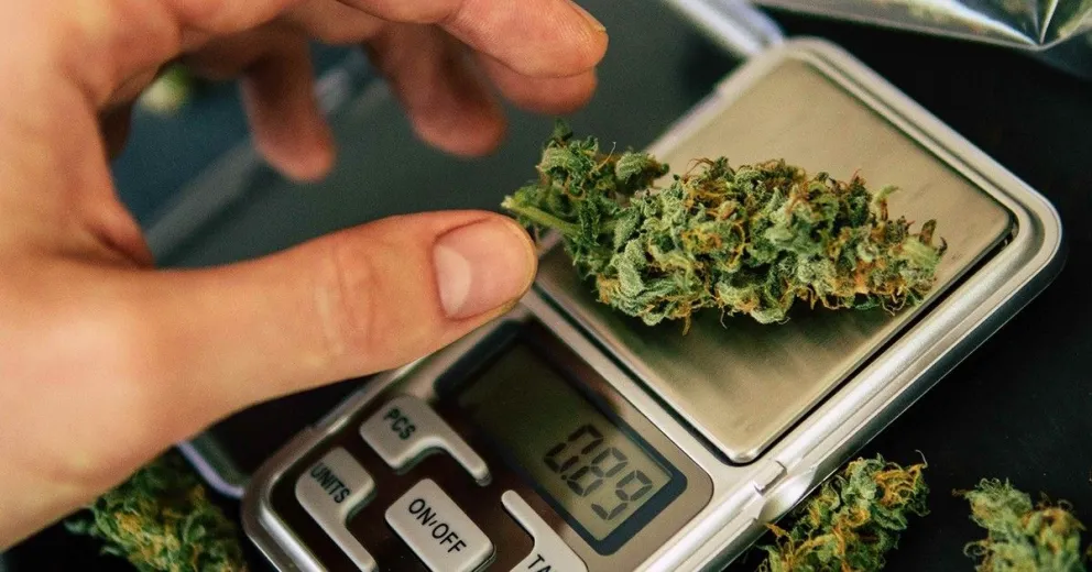 Quedó detenido tras querer ingresar al valle con 4,5 kilos de marihuana 