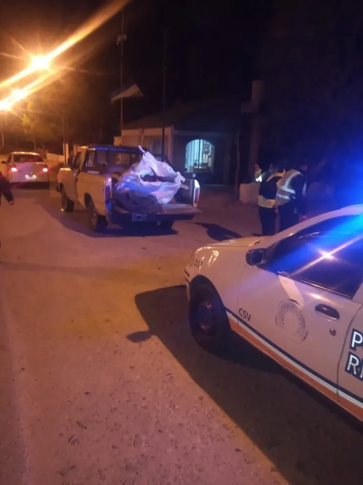 La Policía incautó 250 kilos de carne de caballo en Paso Córdoba