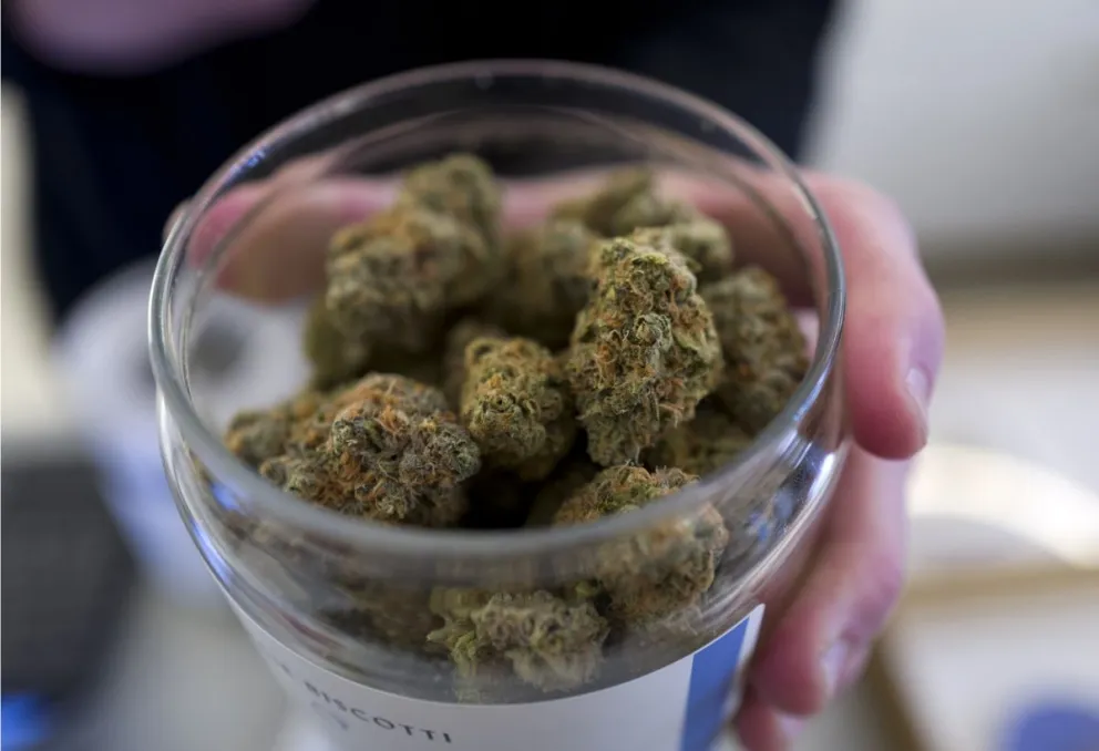 En Uruguay están analizando venderles marihuana a los turistas de forma legal