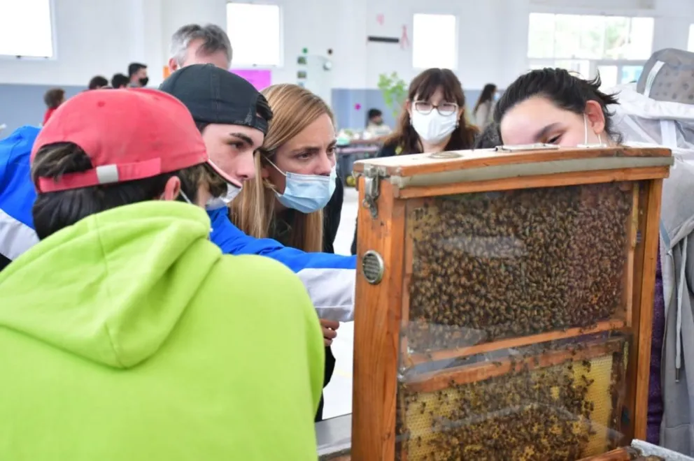 En fotos: Llegó fin de año y las escuelas técnicas mostraron todo su talento y creatividad