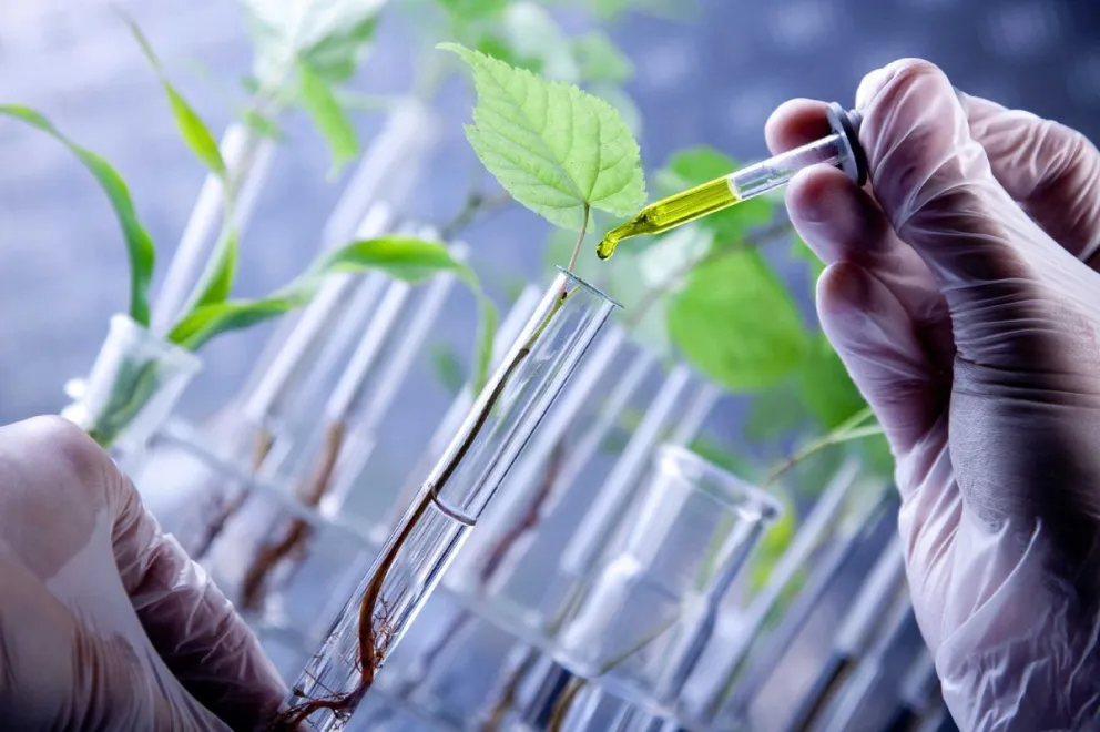 Harán una charla informativa virtual de las Ingenierías en Alimentos y en Biotecnología
