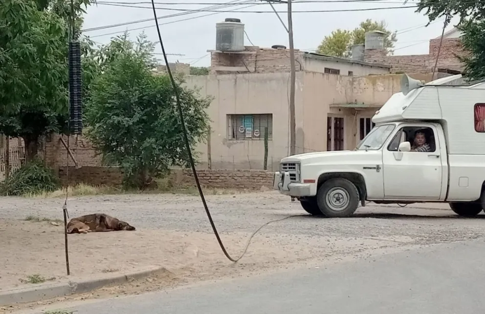 ¡Peligro! En plena calle un cable de media tensión esta cortado