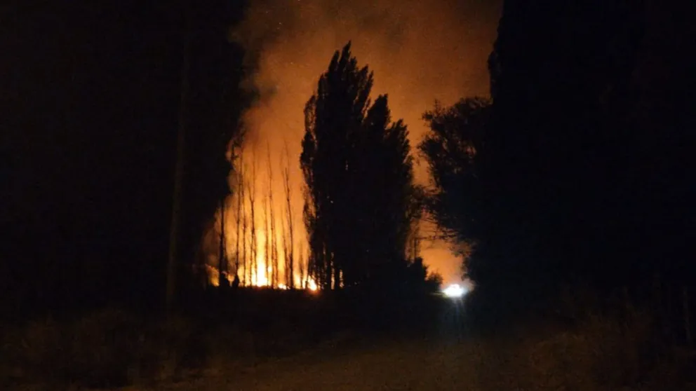 Ahora: Gran incendio de pastizales en calle Pellegrini