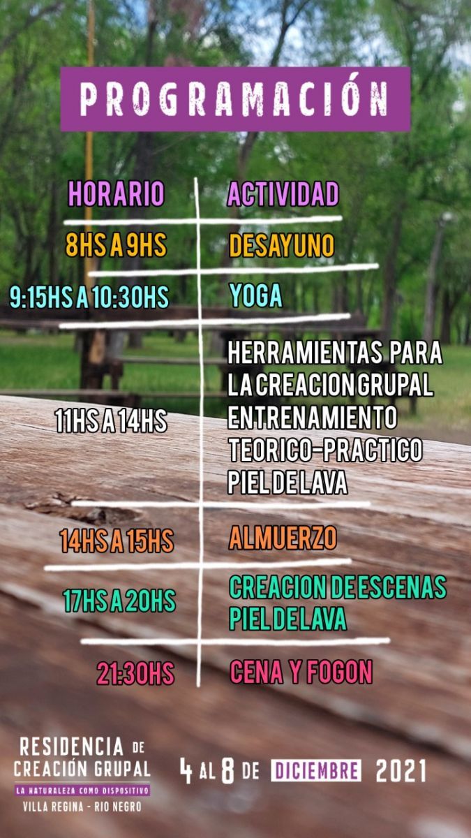 Piel de Lava seminario