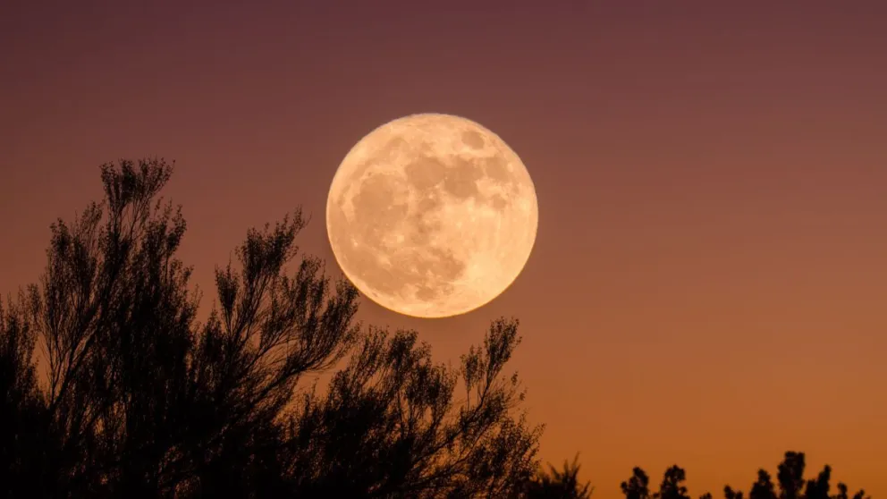 Para los amantes de la Luna, vuelven los trekking nocturnos del Municipio