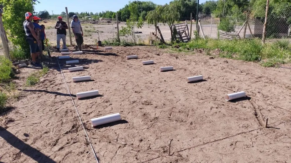 Construirán microinvernaderos en varias localidades destinados a familias del Alto Valle