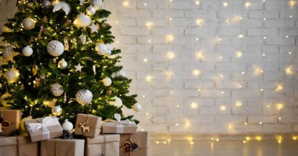Disfrutá hoy del Paseo navideño y participá del gran sorteo ¡Mirá de qué se trata!