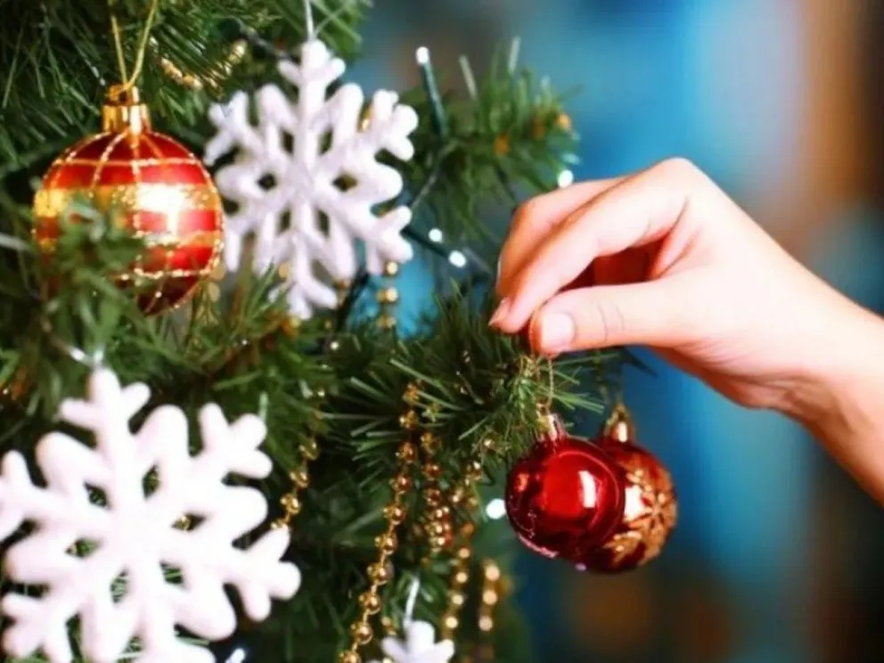 Cuánto cuesta armar el arbolito de navidad en Roca 