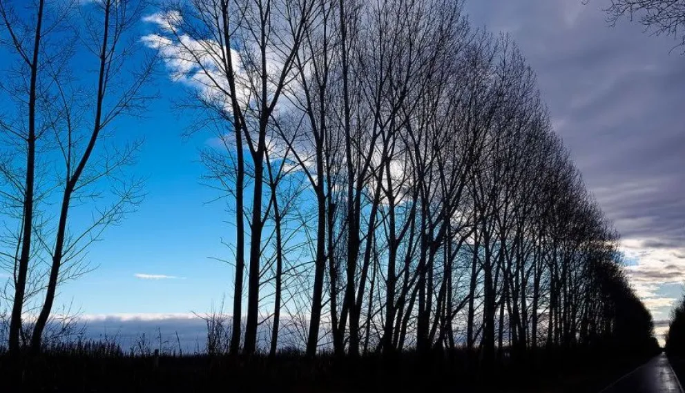 La electrocución de la nena habría sido por el arreglo mal hecho de un poste