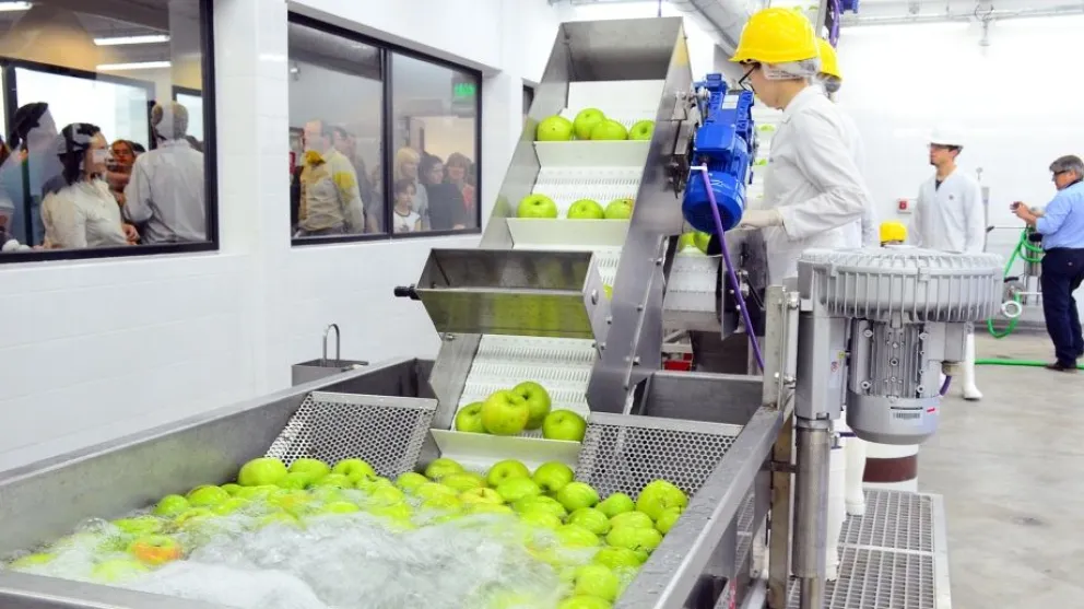 Proponen mejorar la sidra local mediante el trabajo entre productores y la UNRN 