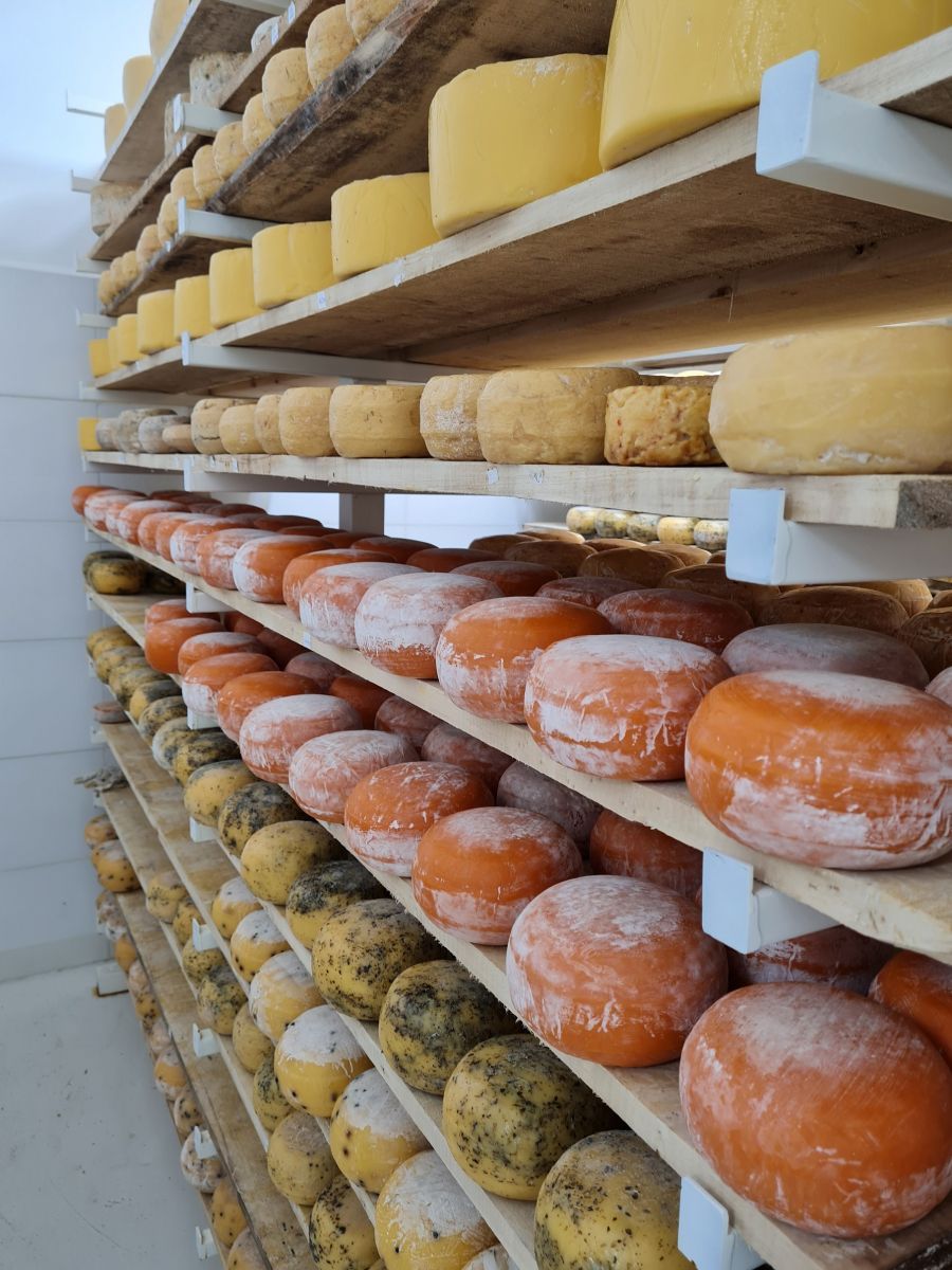 Fabrica queso