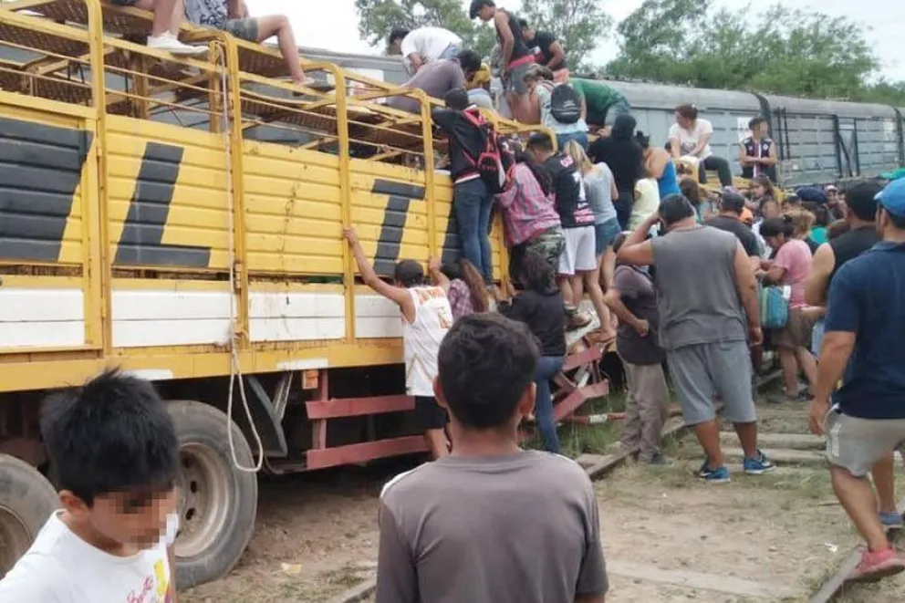 Un tren chocó un camión con vacas y los vecinos las faenaron en el lugar