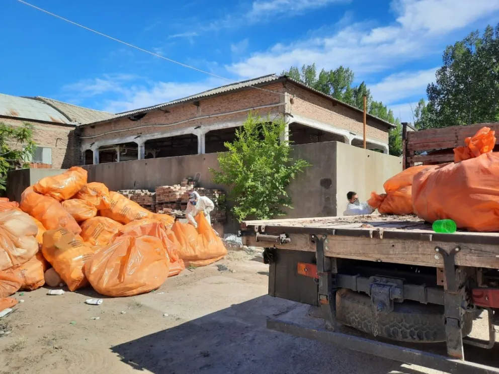 Productores atentos: Hoy y mañana podrán llevar los envases plásticos 