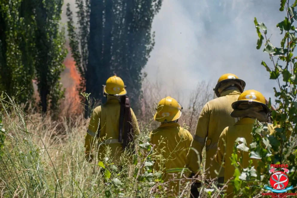 Foto galería: Mirá cómo es el entrenamiento de los aspirantes a bomberos de Roca 