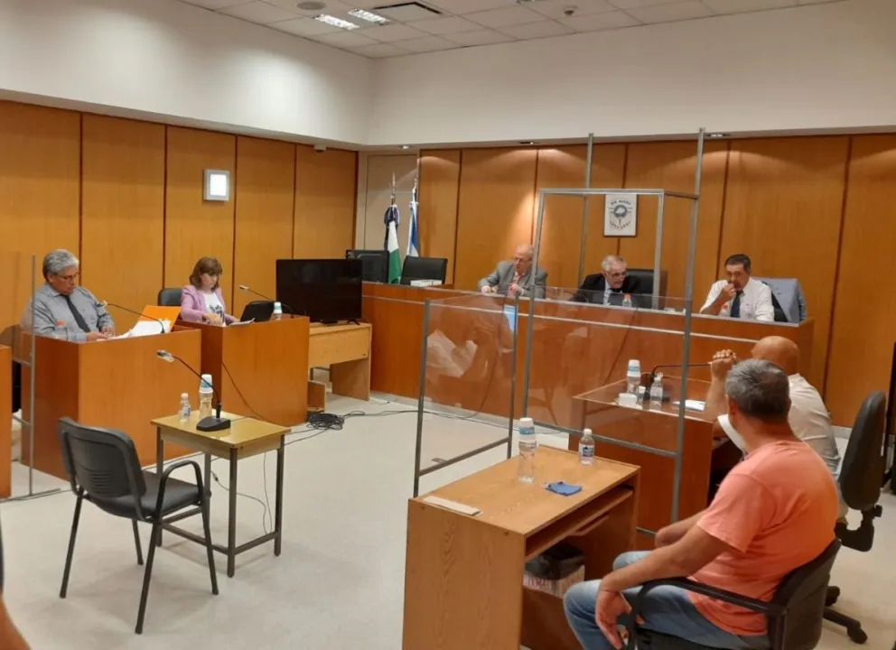 Crimen de Evelyn Alarcón: Piden que se declare culpable al conductor que la atropelló y huyó