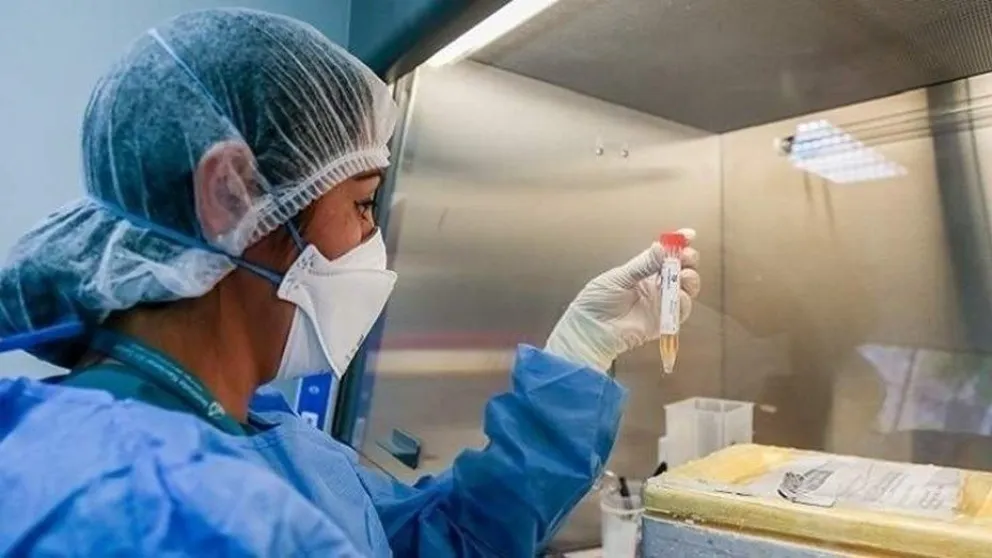 Coronavirus en Roca: ¿Cuántos casos activos hay en la ciudad? 