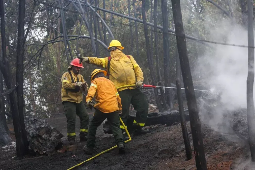 Trabajaron toda la noche para combatir el fuego en El Hoyo