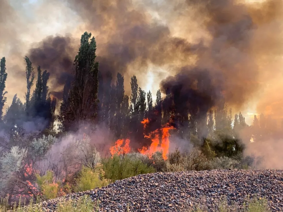 Impresionante incendio en la zona rural habría comenzando por una imprudencia