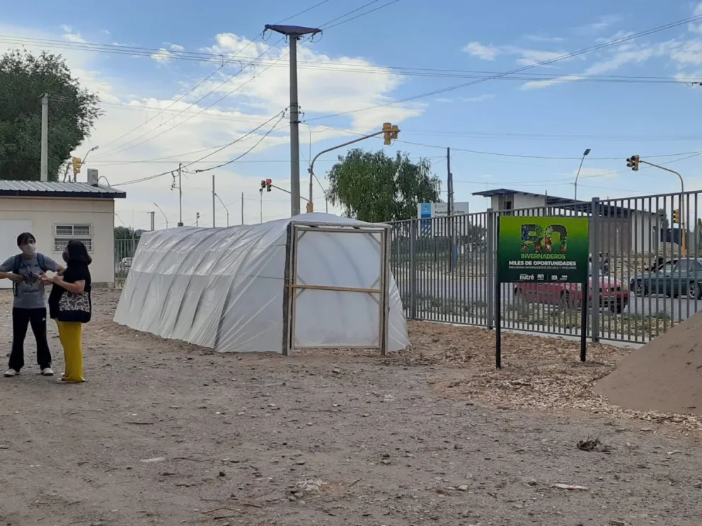 Roca ya tiene su Invernadero Escuela para que las familias produzcan sus alimentos
