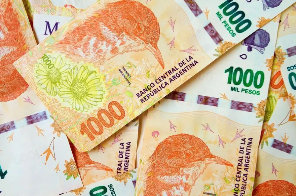Otro gremio accederá a un bono de 20 mil pesos: A quiénes le corresponde y cuándo lo cobrarán