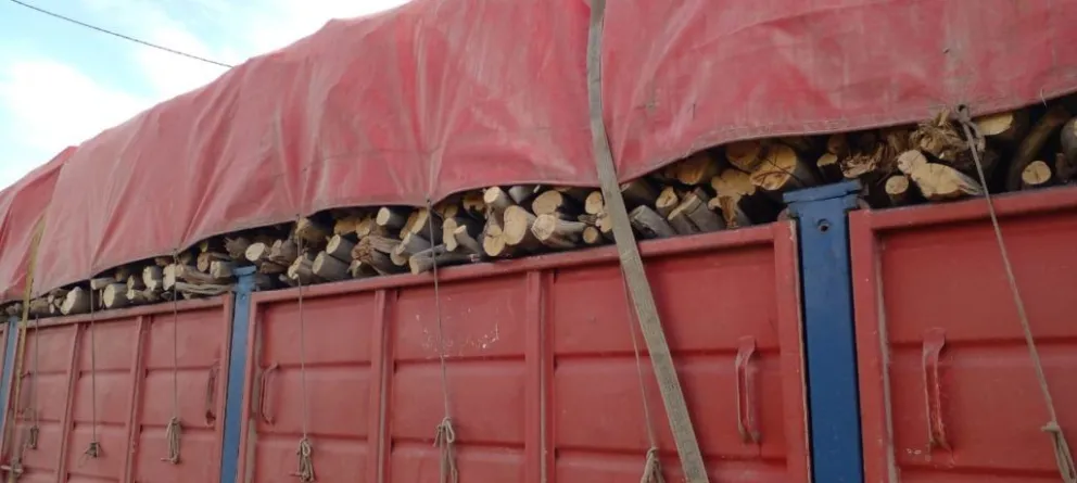 Decomisaron 25 toneladas de leña que era transportada de forma "ilegal"