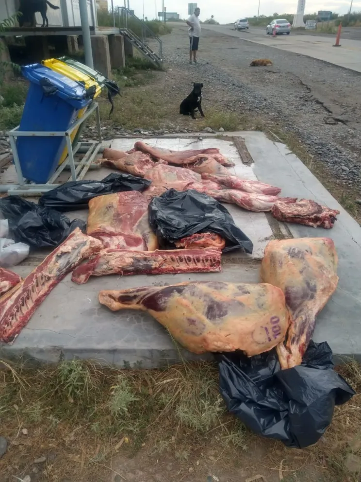  Atrapados: Quisieron pasar un control con 350 kilos de carne vacuna pero los descubrieron 