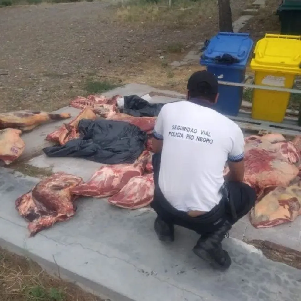 Decomisaron más de 300 kilos de carne que buscaban ingresar al Alto Valle