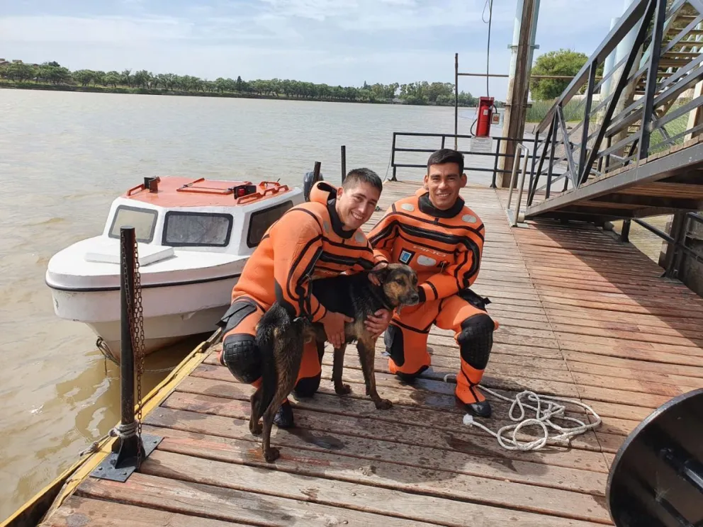 Conmovedor rescate de un perrito atrapado bajo un muelle en Viedma