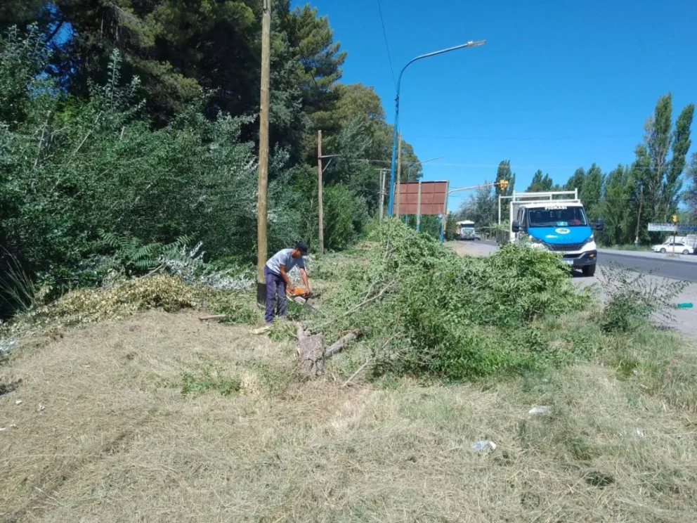 ¿Ya pasaron por tu barrio?: Mirá dónde están realizando las tareas de mantenimiento esta semana 