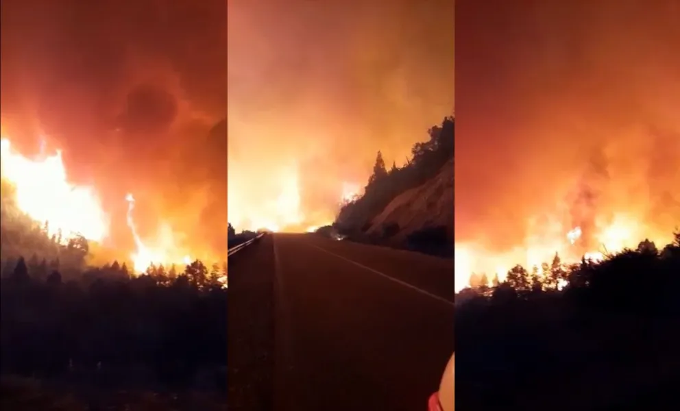 Incendio en la zona de lago Martin: El fuego llegó a la Ruta 40 y cortaron el tránsito