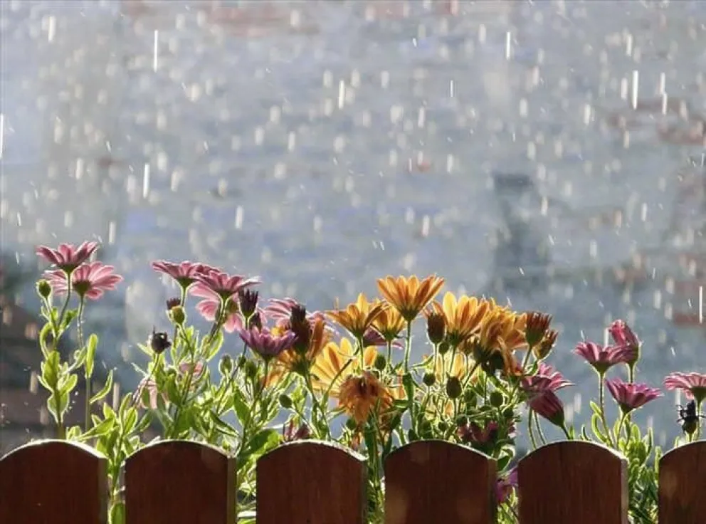 Un clima de locos: sube la temperatura y pronosticaron períodos ventosos con lluvias intensas