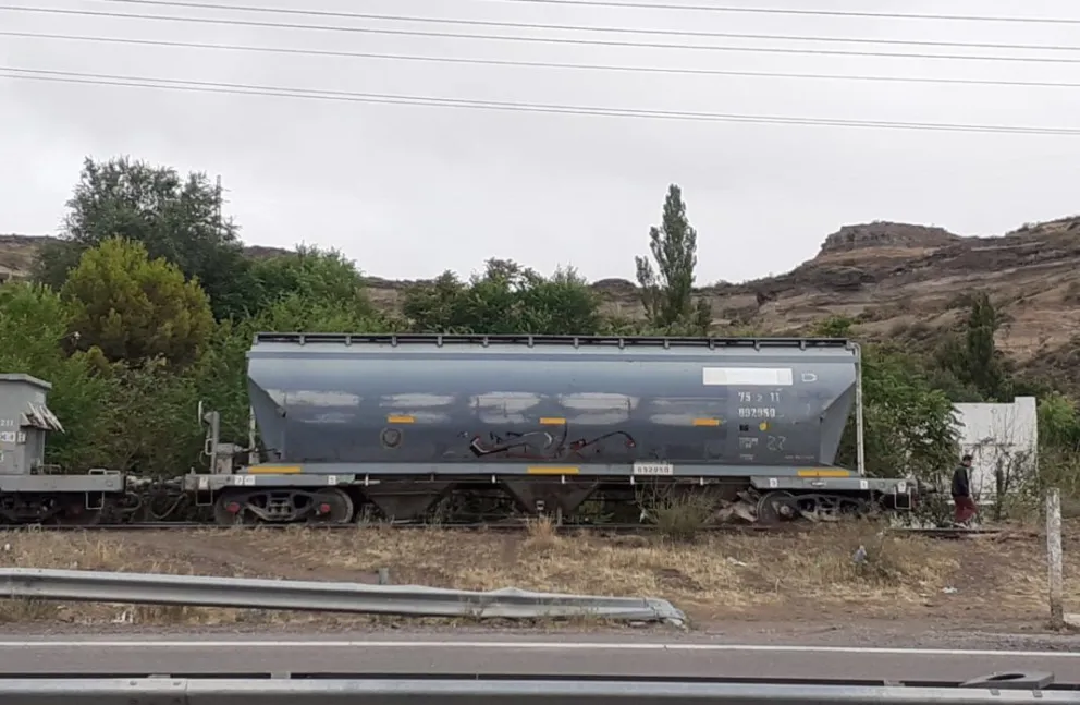 Una vez más descarriló el tren de cargas del Alto Valle