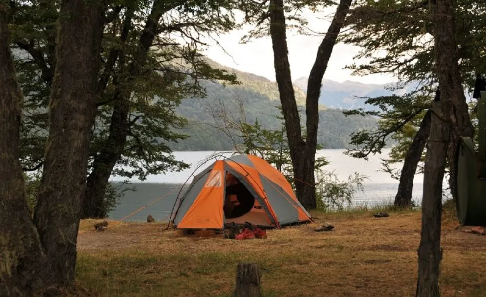 Si salís de Roca por las vacaciones, sabé esto para no contagiarte Hantavirus