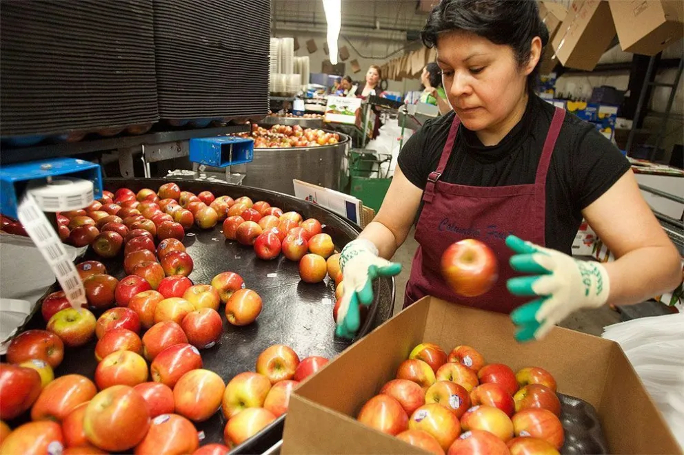 Los trabajadores de los galpones de empaque consiguieron un aumento del 102% para la temporada 2023