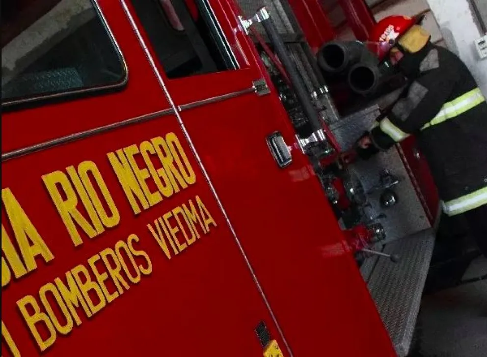 Un cachorro estuvo a punto de morir ahogado hasta que lo salvaron los bomberos