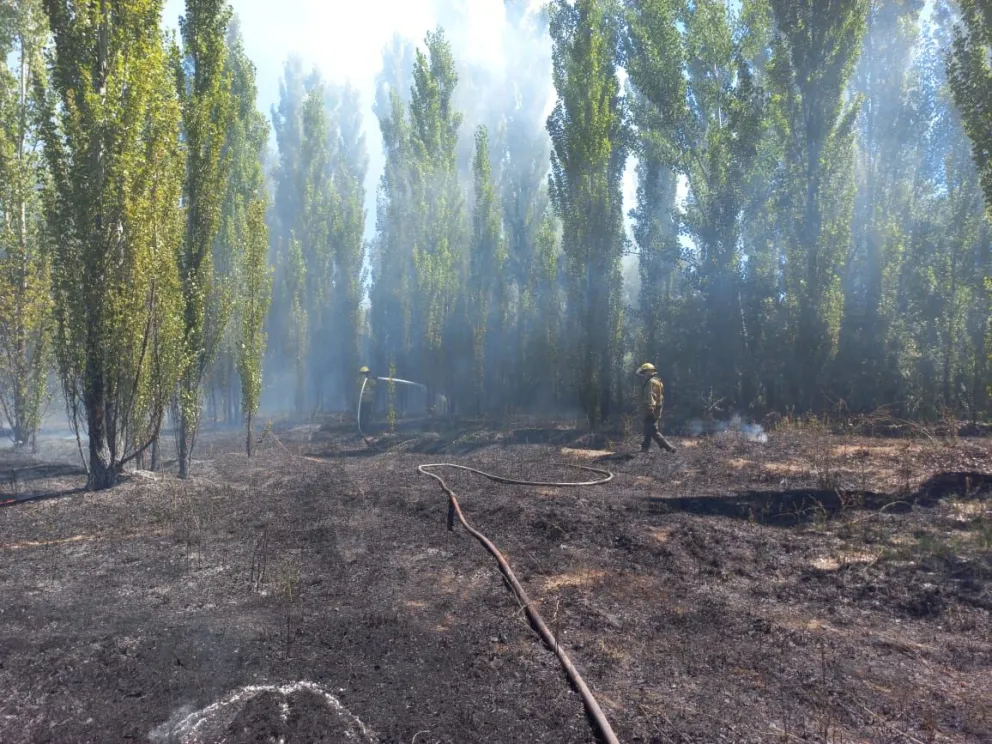 Cerca de 5 horas trabajaron los Bomberos para apagar un incendio de pastizales en Parque Las Fuentes