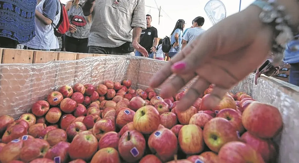 ¿Quiénes serán los homenajeados del circuito productivo en la Fiesta de la Manzana este año?