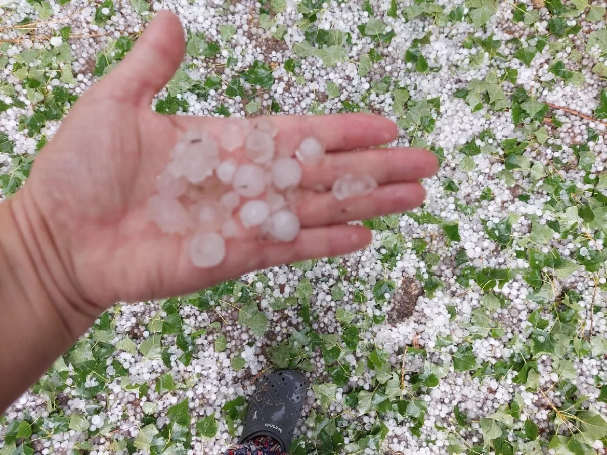 Registro fotogr&aacute;fico de lo que la tormenta nos dej&oacute; en el Alto Valle