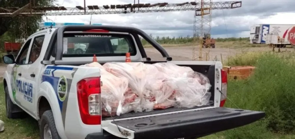 Llevaba 300 kilos de carne en su auto y lo descubrió la policía