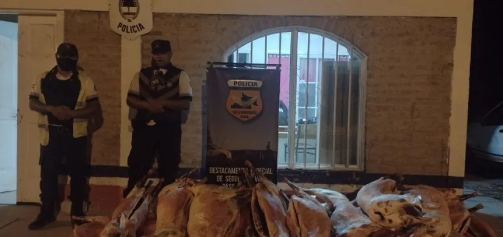 Paso Córdoba: Dijo que llevaba fruta pero tenía 22 ovejas faenadas en el camión