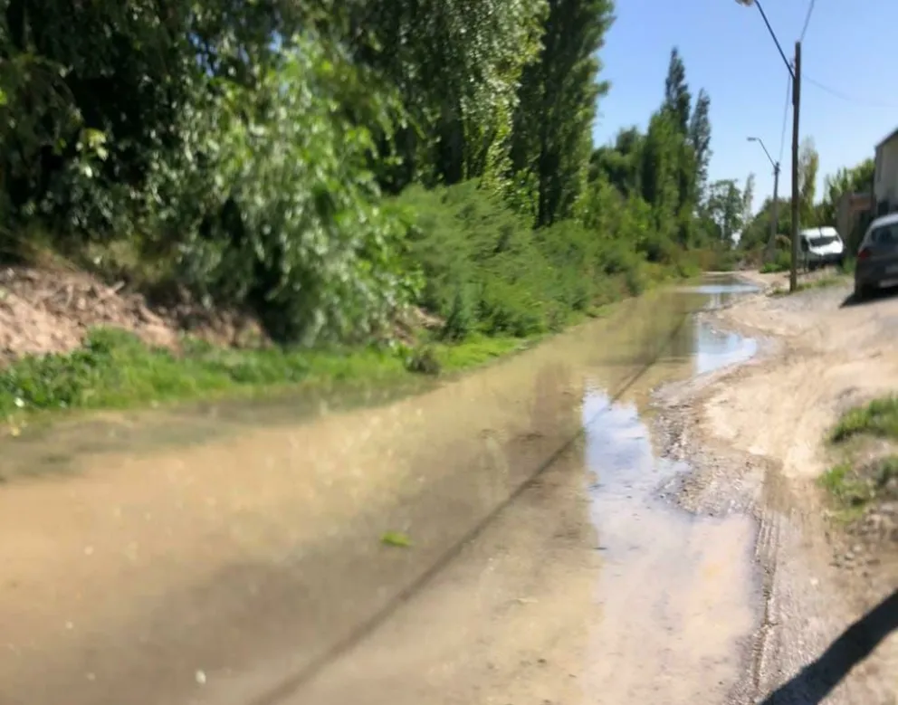 Calles anegadas en el barrio Japonés y Los Perales