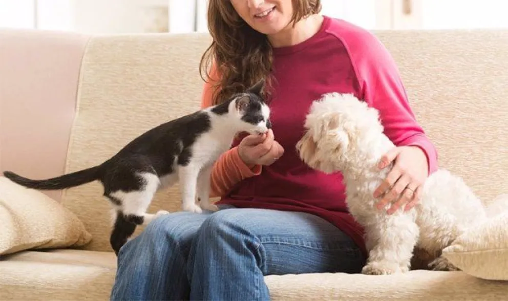 Las mascotas ayudan a mantener tu cerebro saludable